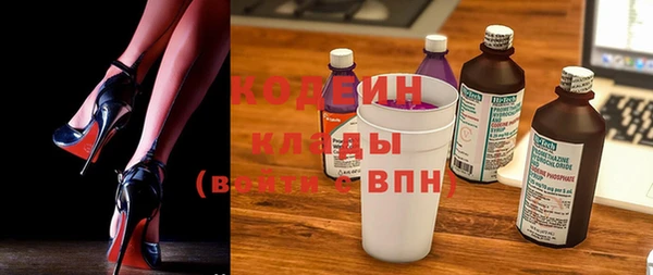 молекула духа Бронницы