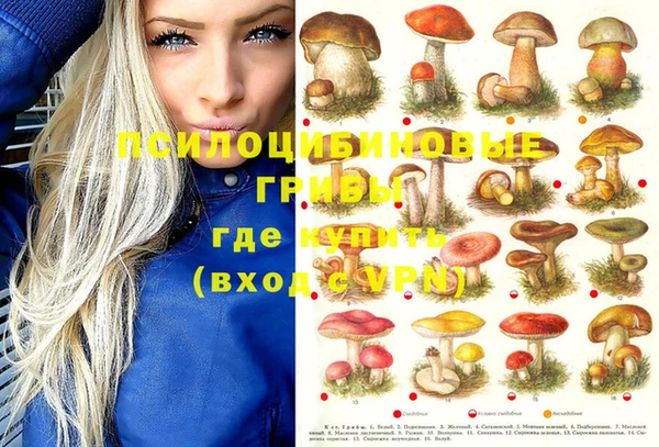 jwh Бородино