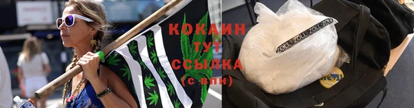 молекула духа Бронницы