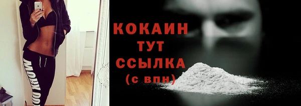 молекула духа Бронницы