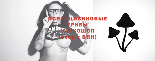 эйфоретик Бугульма