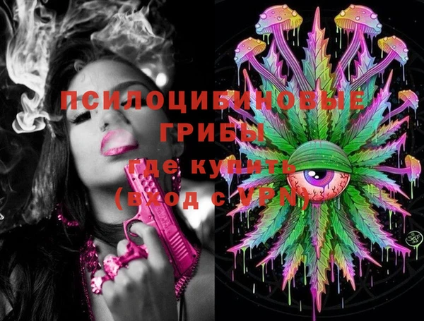 молекула духа Бронницы