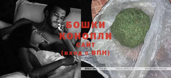молекула духа Бронницы