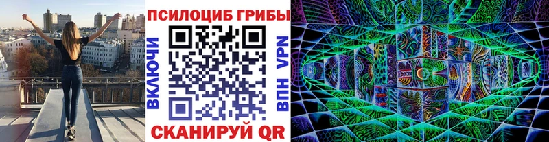 Купить закладки  Петухово  Галлюциногенные грибы MAGIC MUSHROOMS 