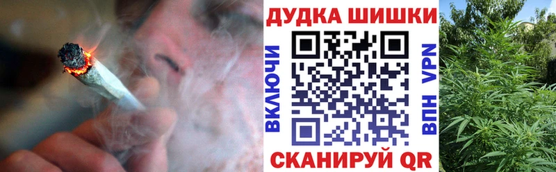 Купить  Петухово  Бошки Шишки ГИДРОПОН 